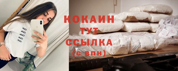 стафф Ростов